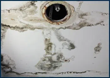 Miami Water Damages Miami, FL 786-319-9585 - city-page-water-leaks