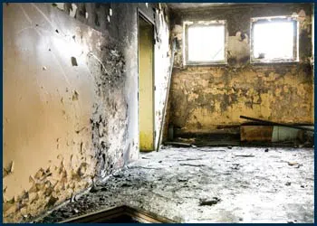 Miami Water Damages Miami, FL 786-319-9585 - cont-service