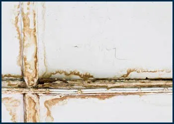 Miami Water Damages Miami, FL 786-319-9585 - cont-water-2